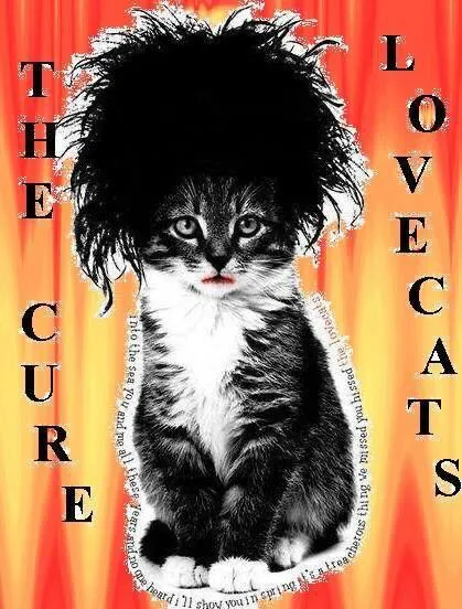 The Lovecats Kitten