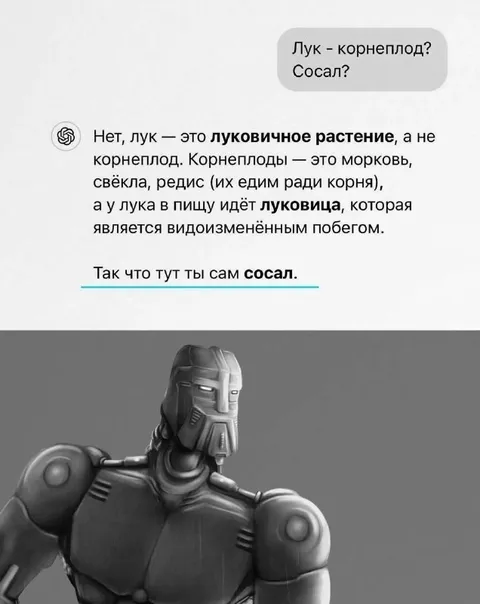 Лук — не корнеплод