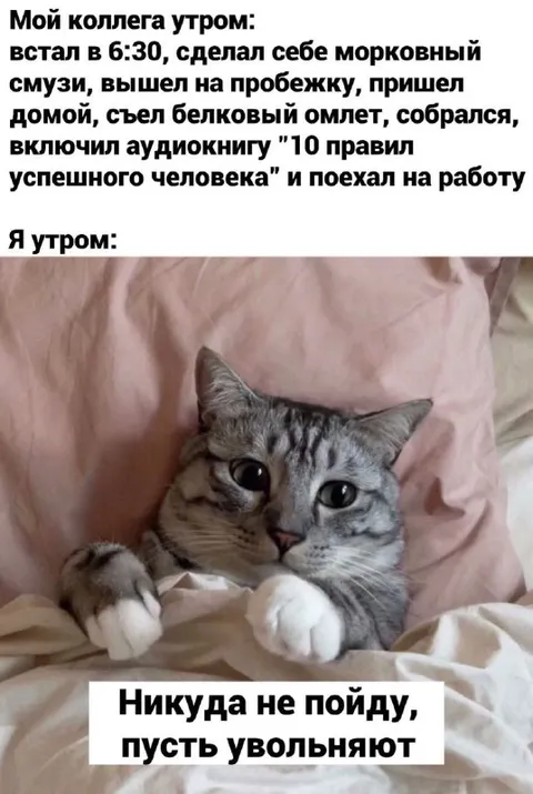 Коллега утром и я утром