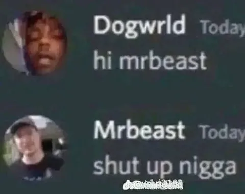 MrBeast Shuts Down Dogwrld
