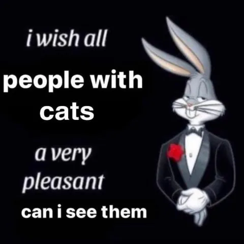 Bugs Bunny Wants to See Your Cats
