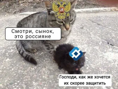 Смотри, сынок, это россияне