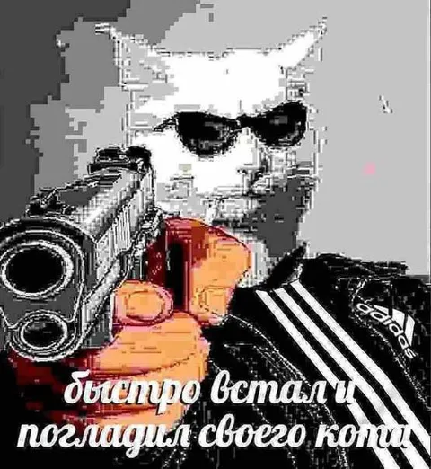 Кот с автоматом в очках
