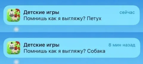 Петух или собака
