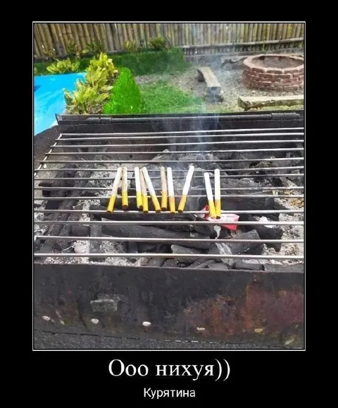 Курятина на мангале
