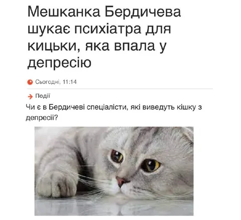 Мешканка Бердичева шукає психіатра