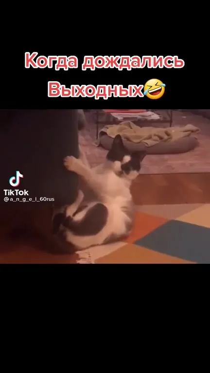 Когда дождались выходных