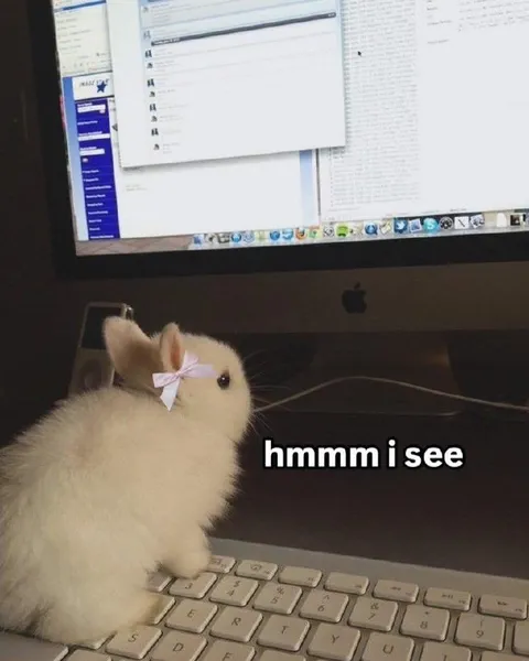 Hmmm I See Bunny
