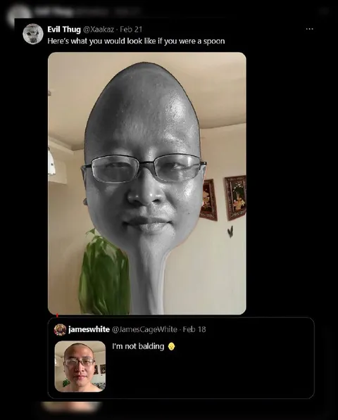What You Would Look Like as a Spoon