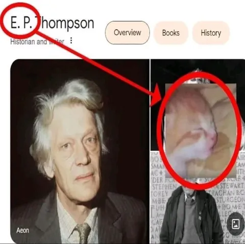 E. P. Thompson Cat Lookalike