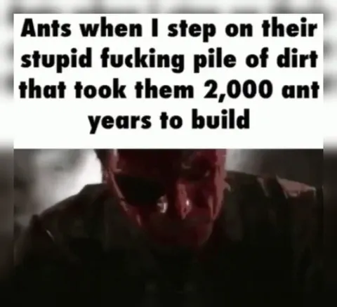 Ants After I Crush Their Dirt Pile