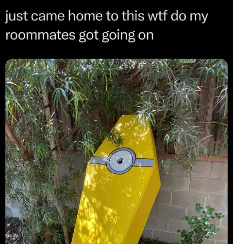 Roommates Built a Minion Coffin