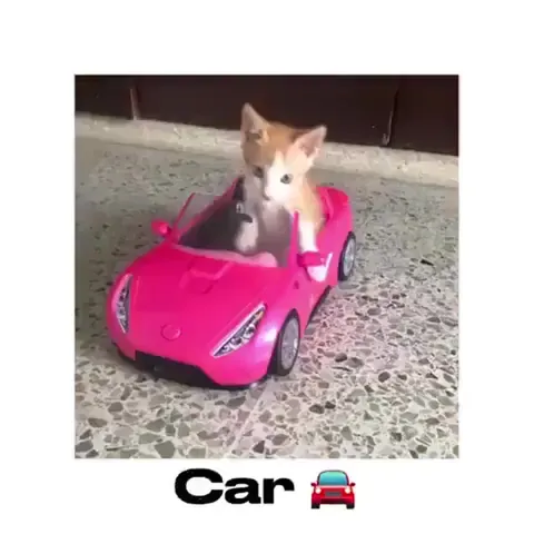 We inherit his green