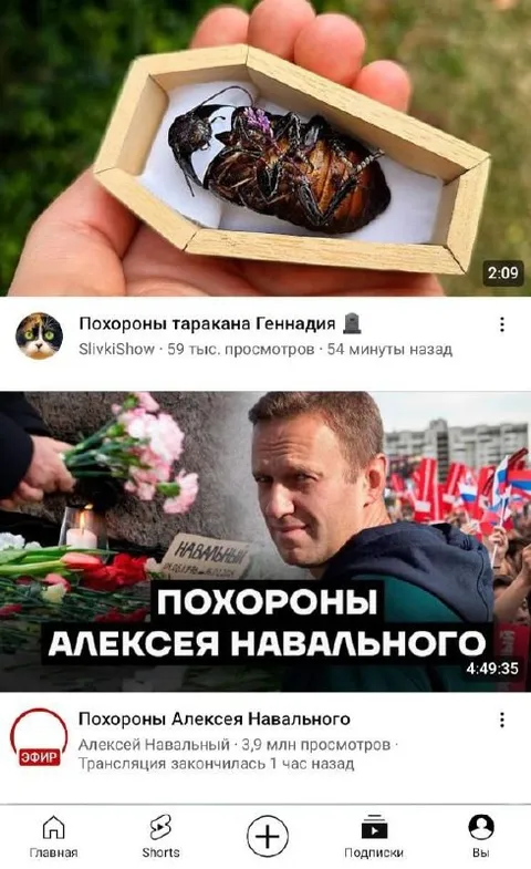 Похороны таракана Геннадия