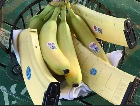 Bananas in Laptop Cases