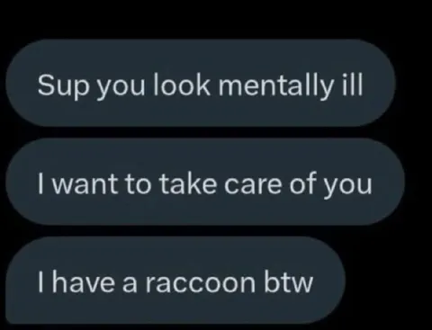 Mentally Ill Raccoon Owner