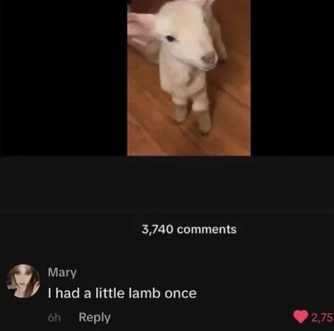 I Had a Little Lamb Once