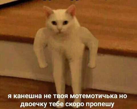 Кот поставит двоечку