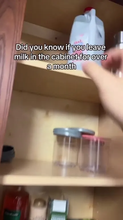 Blueberry Milk Surprise