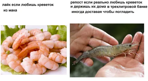 Креветки из Мака и дома