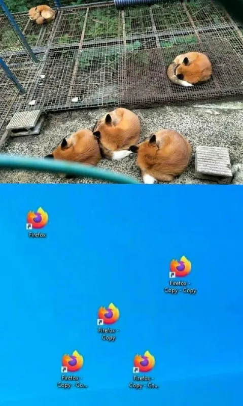 Кролики размножили Firefox