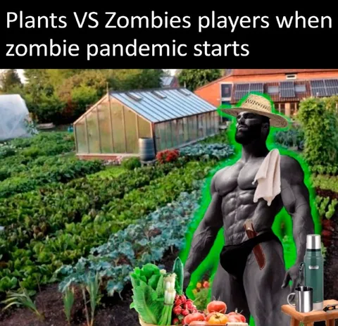 Plants vs Zombies Players During Pandemic
