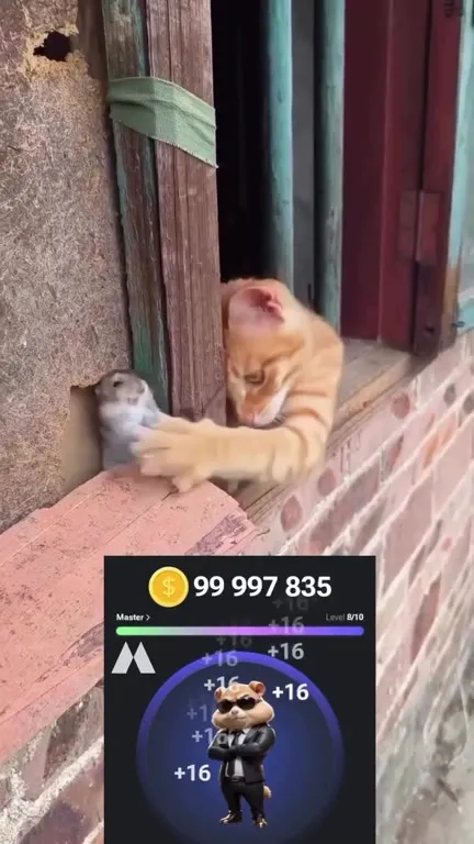 Cat Farms Points by Hugging Mouse
