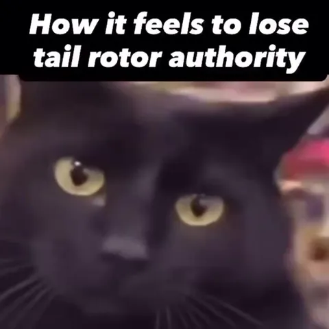 Black Cat Loses Tail Rotor Authority
