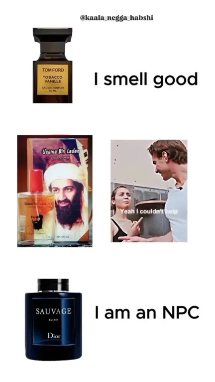 I Smell Good, I Am an NPC