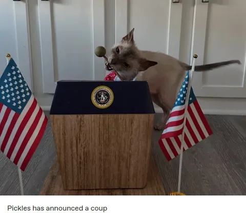 Pickles Announces a Coup