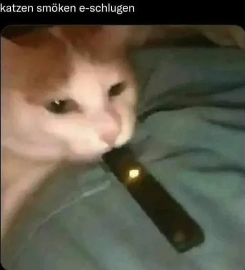Katze raucht E-Zigarette
