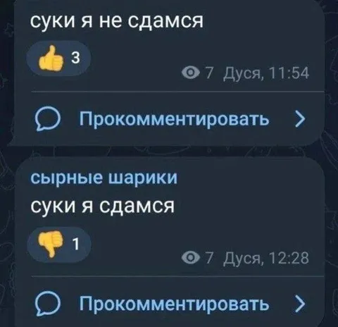 Суки, я не сдамся
