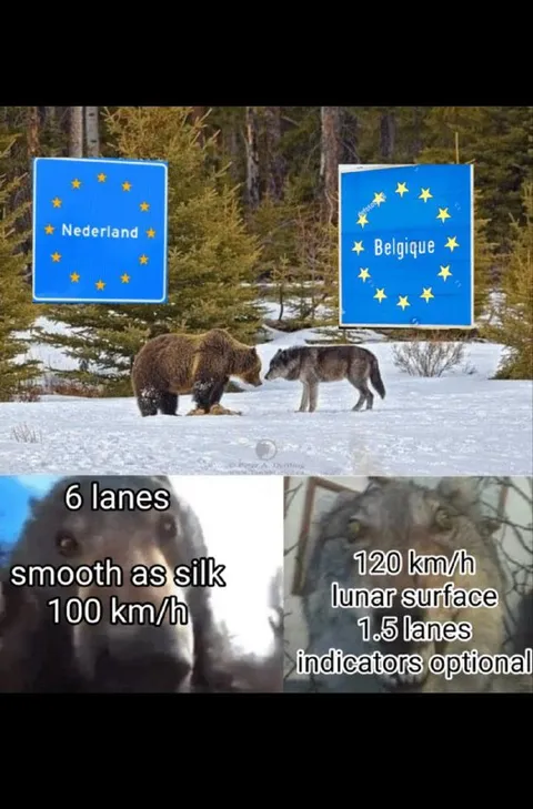European Border Wolf Speed Comparison