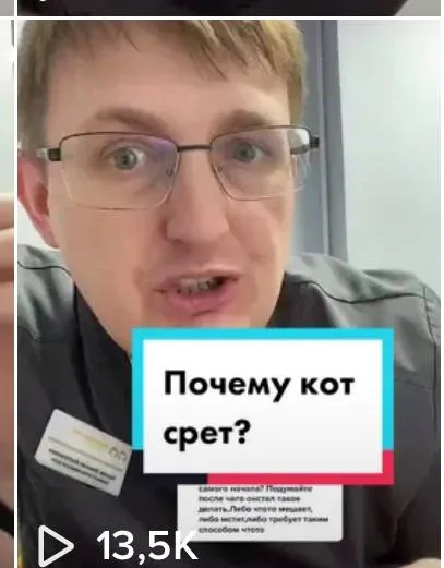 Почему кот срет