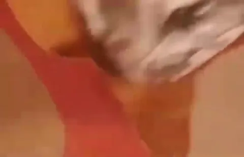 The Burger You Can Fuck