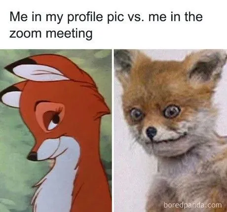 Profile Picture vs Zoom Meeting