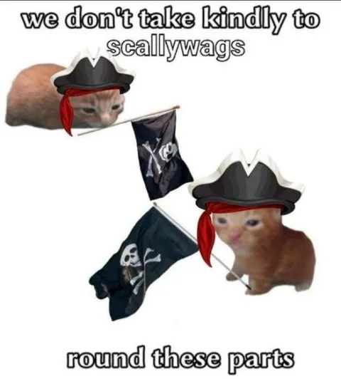 Pirate Cats Don't Take Kindly