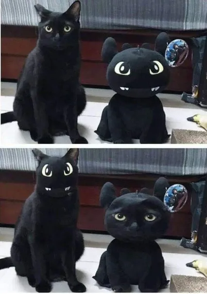 Кот и Беззубик поменялись лицами