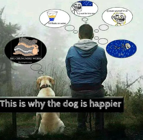 This Is Why the Dog Is Happier