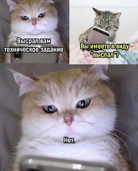 Выcрал техническое задание