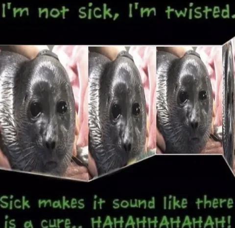 I'm Not Sick, I'm Twisted