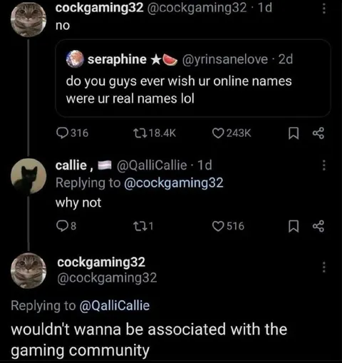 Wouldn't Wanna Be Associated With Gaming