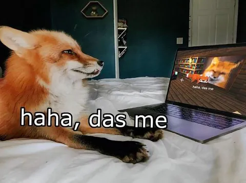Fuchs lacht über Minecraft
