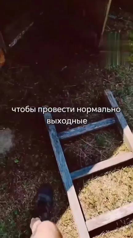 Нормальные выходные в погребе