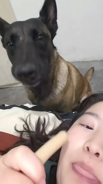 Собака ждёт угощение