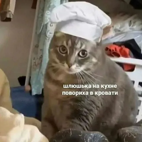 Шлюшка на кухне, повариха в кровати