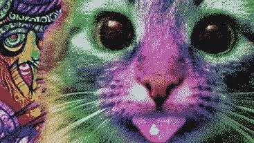 Психоделический кот крупным планом