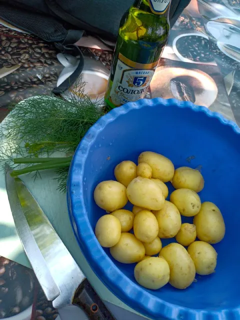 Картошка и пиво на даче