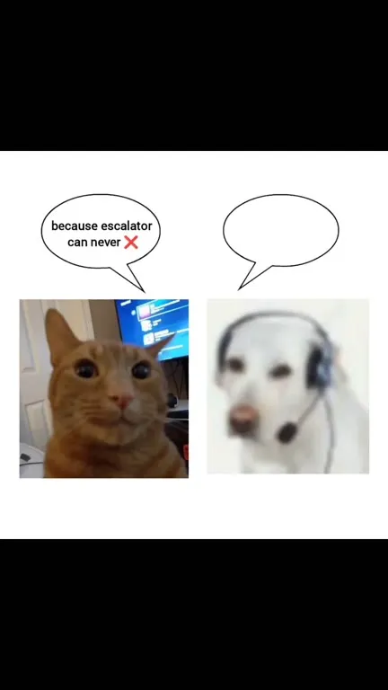 Cat Calls 911 About the Escalator