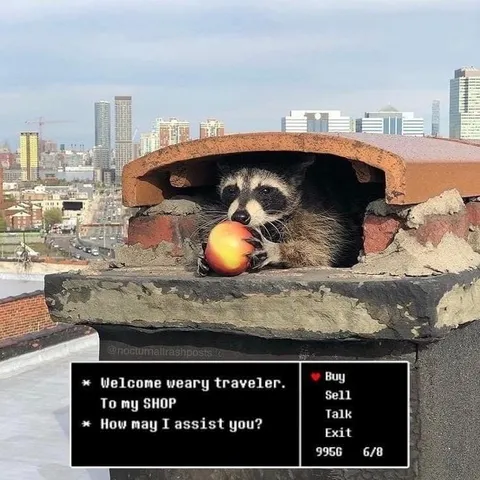 Raccoon Rooftop Shopkeeper